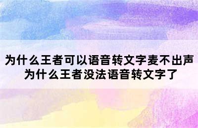 为什么王者可以语音转文字麦不出声 为什么王者没法语音转文字了